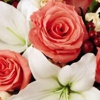 Believe Flowers gallery