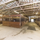 Pearl Equestrian - Horse Boarding