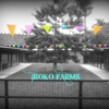 Iroko farms & botanica gallery
