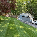 BT Property Services - Arborists