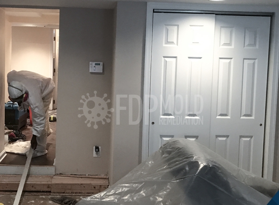 FDP Mold Remediation of Pikesville - Baltimore, MD