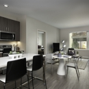 The Andi
