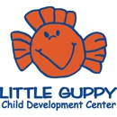 Little Guppy Child Development Center - O'Fallon - Day Care Centers & Nurseries