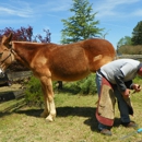 Craig's Farrier Service - Blacksmiths