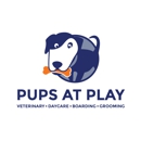 Pups @ Play Montclair - Pet Grooming