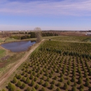 Owasso Christmas Tree & Berry Farm - Christmas Trees