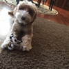 Sterling Pointe Veterinary Clinic gallery