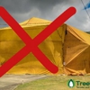 Treebark Termite & Pest Control gallery