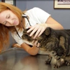 Princeton Animal Hospital & Carnegie Cat Clinic gallery