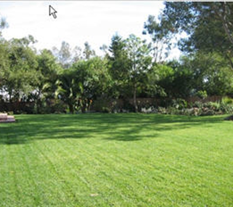 Valencia Tree & Landscape - Santa Barbara, CA