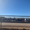 Brandt Cattle Co