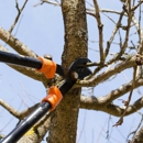 Kenny's Tree Service - Tree Service