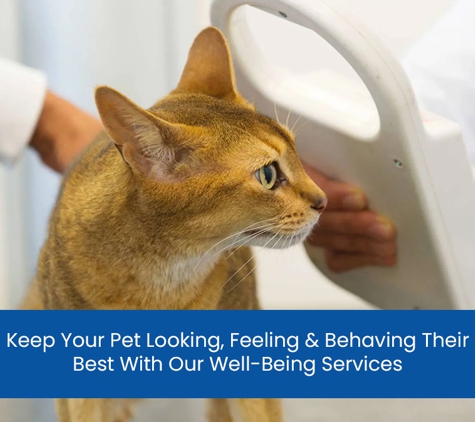 Ashcroft Veterinary Surgeons - Ashcroft, NSW. Keep Your Pet Looking, Feeling & Behaving Their Best With Our Well-Being Services