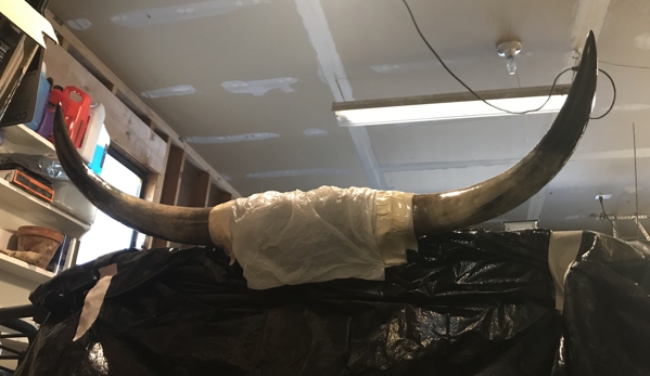 CGJ Services - Colorado Springs, CO. Putting a protective coat of clear paint on our horns on the f-250
