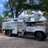 Adam B's Tree Service gallery