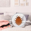 Bed Bug Sniffers gallery