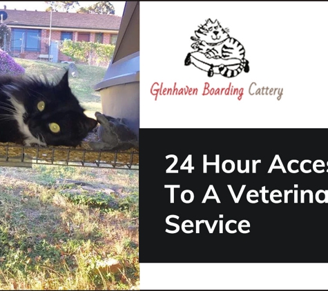 Glenhaven Boarding Cattery - Glenhaven, NSW. 24 Hour Access To A Veterinary Service