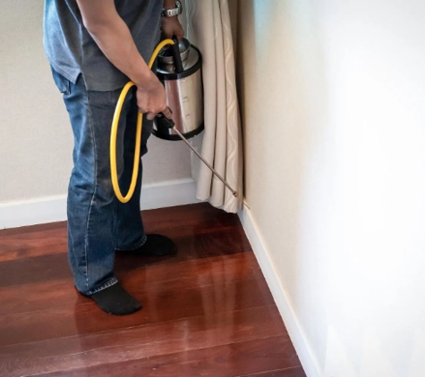 Black & White Pest Control - Greenbank, QLD