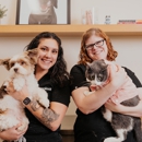 Sploot Veterinary Care - Highlands - Veterinarian Emergency Services