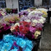 National Floral Distributors, Inc Forest Park/Norcross gallery