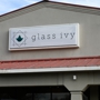 Glass Ivy