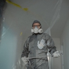 Premier Pest Management gallery