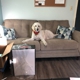 Yemassee Town Clerk