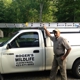 Rogers Wildlife Control Service