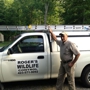 Roger's Wildlife Control