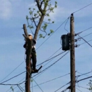 All In One Tree Service - Landscape Designers & Consultants