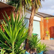 Gallery Image Number 5