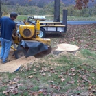 Brining's Stump Grinding