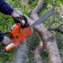 USA Pro Tree Service - Tree Service