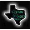 Wright Choice Electric gallery