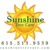 Sunshine Tree Care gallery