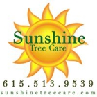 Sunshine Tree Care