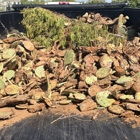 Desert Haul Away