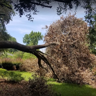 Professional Lot Clearing & Tree Service - Gaston, SC