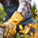 Fcm Tree Services - Tree Service