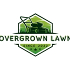 Overgrown Lawn Care & Clean-up