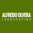 Alfredo Olvera Landscaping - Tree Service