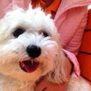 Banfield Pet Hospital - Veterinary Clinics & Hospitals