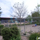 The Rivendell School of Northern Colorado - Private Schools (K-12)