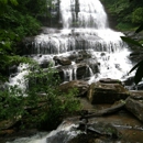 Pearson's Falls Glen - Parks