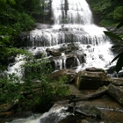 Pearson's Falls Glen