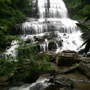 Pearson's Falls Glen