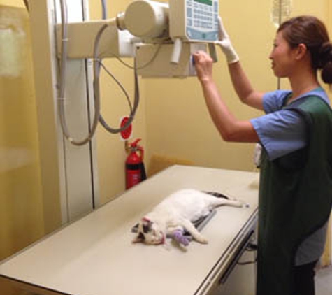 Belmont Avenue Veterinary Hospital - Belmont, WA