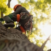 Mile High Landscape & Tree Service gallery