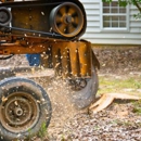 713 Stump Grinding - Tree Service