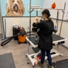 Pet Supplies Plus gallery